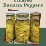 Pinterest Pin for How To Can Pickled Banana Peppers. Image of mason jars of pickled banana peppers after being water bath canned.