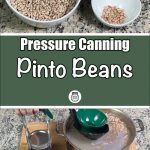 Pinterest Pin for Pressure Canning Pinto Beans. Image of a mason jar of pinto beans before being pressure canned along with a pot full of pinto beans. Another image of pinto beans being sorted in bowls.