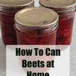 Pinterest Pin for How To Can Beets at Home. Image of three mason jars of pressure canned beets sitting on a painted surface