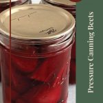 Pinterest Pin for Pressure Canning Beets Tips and Tricks. Image of three mason jars of pressure canned beets sitting on a painted surface.