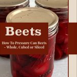 Pinterest Pin for Beets: How to Pressure Can Beets - Whole, Cubed or sliced. Image of three mason jars of pressure canned beets sitting on a painted surface.