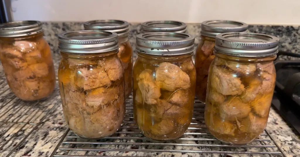 Seven mason jars of pressure canned pork tenderloin that are cooling on a counter.