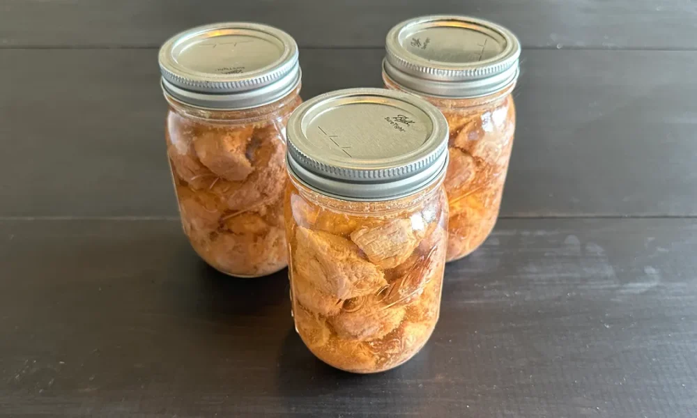 Three mason jars of pressure canned pork tenderloin in broth.