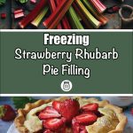 Pinterest Pin for Freezing Strawberry Rhubarb Pie Filling. Image of a strawberry rhubarb pie with a slice removed from it in a white pie plate. Image of Rhubarb Stalks laying on a table.