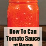 Pinterest Pin for How To Can Tomato Sauce at Home. Image of a mason jar of tomato sauce after being water bath canned.