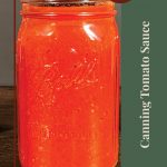 Pinterest Pin for Canning Tomato Sauce Tips and Tricks. Image of a mason jar of tomato sauce after being water bath canned.