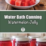 Pinterest Pin for Water Bath Canning Watermelon Jelly. Image of mason jars of watermelon jelly sitting on a counter. Image of cubes of red watermelon in a white bowl on a wooden table.