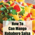 A vibrant and colorful dish of mango habanero salsa, featuring chunks of mango, red peppers, cilantro, and onion. The image includes the text "How To Can Mango Habanero Salsa" and "PreservingGuide.com" displayed prominently in black font.