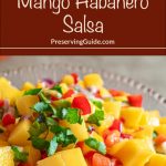 A close-up of a vibrant mango habanero salsa, featuring diced mangoes, red peppers, cilantro, and onions. The image includes the text "How To Can Mango Habanero Salsa" and "PreservingGuide.com" displayed prominently in bold and handwritten-style fonts on a brown background at the top.