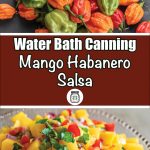 A two-part image promoting water bath canning of mango habanero salsa. The top section features fresh green, orange, and red habanero peppers, while the bottom section shows a colorful mango habanero salsa with diced mangoes, red peppers, cilantro, and onions. The central text on a brown background reads "Water Bath Canning Mango Habanero Salsa" with a jar icon below.