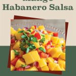 A promotional image for canning mango habanero salsa. The image showcases a colorful bowl of mango habanero salsa with diced mangoes, red peppers, cilantro, and onions. The text at the top reads "How To Can Mango Habanero Salsa" in a mix of brown and green fonts. The background is divided into beige and green sections, with a small jar icon at the bottom.