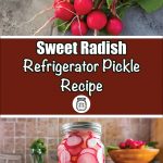 A promotional image for a sweet radish refrigerator pickle recipe. The top section features a bunch of fresh red radishes with green leaves. The bottom section showcases a jar of pickled radish slices in a clear brine, placed in a kitchen setting. The central text on a brown background reads "Sweet Radish Refrigerator Pickle Recipe" with a jar icon below.