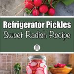 A promotional image for a sweet radish refrigerator pickle recipe. The top section features a bunch of fresh red radishes with green leaves against a gray background. The bottom section showcases a jar of pickled radish slices in a clear brine, placed in a kitchen setting. The central text on a green background reads "Refrigerator Pickles Sweet Radish Recipe" with a jar icon below.