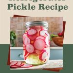 A promotional image for a sweet radish refrigerator pickle recipe. The image features a jar of pickled radish slices in a clear brine, placed in a kitchen setting. The text at the top reads "Sweet Radish Refrigerator Pickle Recipe" in green font on a beige background. The bottom section of the background is green, and there is a small jar icon at the center bottom.