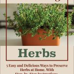 Pinterest Pin for Preserving Herbs. 5 easy and delicious ways to preserve herbs at home. With step-by-step instructions. Picture of thyme growing in a pot.