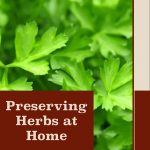 Pinterest Pin for Preserving Herbs at Home. Close up image of parsley growing in a garden.