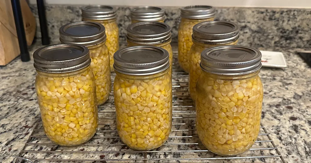 Several mason jars filled with pressure-canned corn kernels, neatly arranged on a cooling rack on a granite countertop.