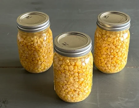 Three mason jars filled with pressure-canned corn kernels, arranged in a triangular formation on a dark wooden surface.