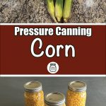 Three ears of corn on a countertop and three mason jars filled with canned corn, with a text overlay reading "Pressure Canning Corn."