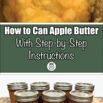 Image featuring a pot of cooking apple butter at the top, with the text "How to Can Apple Butter With Step-by-Step Instructions" and a jar icon below it. Below the text are seven sealed jars of apple butter arranged on a kitchen countertop, highlighting the detailed canning process.