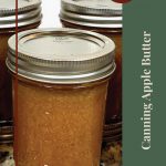 Enhance your apple butter canning skills with our essential tips and tricks. This guide covers everything you need to know to ensure your apple butter is perfectly preserved, from preparation to canning. Whether you're a beginner or an experienced canner, these expert tips will help you achieve the best results. 🍏 #CanningTips #AppleButter #PreservingFood #HomeCanning #CanningRecipes