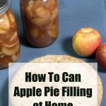 Image of two jars filled with apple pie filling, a whole apple pie, and fresh apples on a blue surface. The text "How To Can Apple Pie Filling at Home" and "PreservingGuide.com" is displayed prominently over the pie, indicating a guide for making and canning apple pie filling at home.