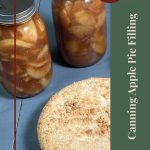 Image of two jars filled with apple pie filling and a whole apple pie on a blue surface. The text "Tips & Tricks" and "Canning Apple Pie Filling" is displayed on the right side. The design includes a circular label and a jar icon at the bottom, highlighting helpful advice for canning apple pie filling.