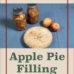 Image of two jars filled with apple pie filling, a whole apple pie, and fresh apples on a blue surface. The text "Water Bath Canning Apple Pie Filling" is prominently displayed at the top, with a jar icon at the bottom. The design includes a beige and green background, framing the jars and highlighting the water bath canning method for apple pie filling.