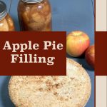 Image of two jars filled with apple pie filling, a whole apple pie, and fresh apples on a blue surface. The text "Apple Pie Filling" is prominently displayed on a brown background, with the website "PreservingGuide.com" at the bottom. This highlights the apple pie filling and its source for preservation guidance.