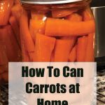 A guide cover image for canning carrots at home. The background shows a close-up of mason jars filled with canned carrot sticks, placed on a wire rack. The text "How To Can Carrots at Home" is prominently displayed in black on a transparent white banner at the bottom, with "PreservingGuide.com" noted below.