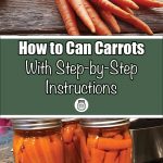 A guide cover image for canning carrots with step-by-step instructions. The top half shows a bunch of fresh carrots with greens on a wooden surface. The middle section features a green banner with the text "How to Can Carrots With Step-by-Step Instructions" in white, accompanied by a small jar icon. The bottom half displays three jars filled with canned carrot sticks placed on a wire rack on a granite countertop.