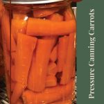 A guide cover image for tips and tricks on pressure canning carrots. The background shows a close-up of a mason jar filled with canned carrot sticks, placed on a wire rack. A green vertical banner on the right side contains the text "Pressure Canning Carrots" in white, with a circular maroon label at the top right corner for "Tips & Tricks." A small jar icon is positioned at the bottom center.