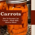 A guide cover image for pressure canning carrots. The background features a close-up of a mason jar filled with canned carrot sticks, placed on a wire rack. A maroon banner overlay in the center contains the text "Carrots" in large, bold letters, followed by "How To Pressure Can Carrots - Whole Baby, Diced or Sliced" in smaller text. The bottom of the image includes the source "PreservingGuide.com" in maroon text on a beige background.