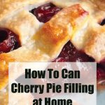 A close-up of a freshly baked cherry pie with a golden-brown lattice crust and juicy cherry filling. Overlaid text reads, "How To Can Cherry Pie Filling at Home," with the source "PreservingGuide.com" mentioned below.