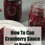 Image of two jars of homemade cranberry sauce, with one jar open and some sauce served on a plate in the foreground. The text "How To Can Cranberry Sauce at Home" and "PreservingGuide.com" is displayed over the image, indicating a guide for making and canning cranberry sauce