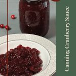 Image of a sealed jar of cranberry sauce next to a plate of cranberry sauce, with the text "Tips & Tricks" and "Canning Cranberry Sauce" displayed on the right side. The design includes a circular label and a jar icon at the bottom, highlighting helpful advice for canning cranberry sauce.