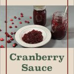 Image of two jars of homemade cranberry sauce, one sealed and one open with a spoon, alongside a plate of cranberry sauce. Scattered cranberries decorate the background. The text "Water Bath Canning Cranberry Sauce" and a jar icon are displayed, highlighting the water bath canning method for preserving cranberry sauce.