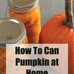 A guide cover image for canning pumpkin at home. The background features two mason jars filled with canned pumpkin cubes and a small whole pumpkin on a light wooden surface. The text "How To Can Pumpkin at Home" is prominently displayed in black on a transparent white banner at the bottom, with "PreservingGuide.com" noted below.