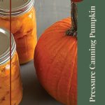 A guide cover image for tips and tricks on pressure canning pumpkin. The background shows two jars filled with canned pumpkin cubes and a whole pumpkin on a light wooden surface. A green vertical banner on the right side contains the text "Pressure Canning Pumpkin" in white, with a circular maroon label at the top right corner for "Tips & Tricks." A small jar icon is positioned at the bottom center.