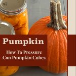 A guide cover image for pressure canning pumpkin cubes. The background features two jars filled with canned pumpkin cubes and a whole pumpkin on a light wooden surface. A maroon banner overlay in the center contains the text "Pumpkin" in large, bold letters, followed by "How To Pressure Can Pumpkin Cubes" in smaller text. The bottom of the image includes the source "PreservingGuide.com" in maroon text on a beige background.