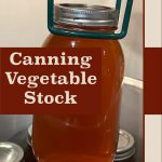 Master the process of canning vegetable stock to preserve its rich flavors for soups, stews, and more. Our detailed guide ensures your homemade stock stays fresh and ready to use. Visit PreservingGuide.com for expert tips and recipes. #Canning #PreservingFood #VegetableStock