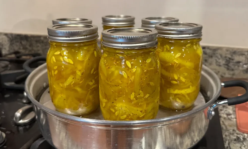 Six mason jars filled with bread and butter pickles being processed in a steam canner on a stovetop. The pickles are a vibrant yellow color, tightly packed with visible seeds and spices.