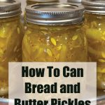 Close-up of jars filled with bright yellow bread and butter pickles, sealed and placed in a canning pot. The text overlay reads 'How To Can Bread and Butter Pickles' with the website 'PreservingGuide.com' at the bottom.