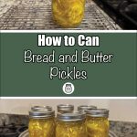 Two images of the bread and butter pickling process: the top image shows a single jar of pickles cooling on a wire rack, while the bottom image shows multiple jars of pickles in a canning pot. The text reads 'How to Can Bread and Butter Pickles' with a logo at the bottom, all on a green background.