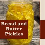 A close-up of a single jar of bread and butter pickles placed on a cooling rack. The text 'Bread and Butter Pickles' is prominently displayed in a brown box overlay, with 'PreservingGuide.com' written at the bottom.