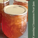 The image features close-up jars of cinnamon pear jam, sealed with metal lids, arranged on a gray surface. To the right side of the image, there is a vertical green banner with beige text that reads: "Canning Cinnamon Pear Jam." At the top of the banner, a brown circle contains the words "Tips & Tricks" in white. At the bottom of the image, a small mason jar icon is displayed. This image is likely intended to accompany a guide or article offering tips and tricks for canning cinnamon pear jam.