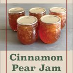 The image shows several jars of cinnamon pear jam with sealed metal lids, arranged on a gray surface. The jars are presented against a beige background with a thin brown border. At the top of the image, in brown text, it reads "Water Bath Canning." Below the jars, in large green text, it says "Cinnamon Pear Jam." At the bottom center of the image, there is a small mason jar icon. This image likely serves as a visual for a guide or article on how to can cinnamon pear jam using the water bath canning method.