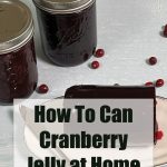 Two mason jars filled with cranberry jelly are placed on a light-colored surface, surrounded by scattered cranberries. A block of cranberry jelly on a plate with a spoon is in the foreground. Overlaid text reads "How To Can Cranberry Jelly at Home - PreservingGuide.com."