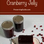 Two mason jars filled with cranberry jelly sit on a light-colored surface with scattered cranberries. In the foreground, a block of cranberry jelly is on a plate with a knife. Above the image, the text reads "How To Can Cranberry Jelly" and "PreservingGuide.com" against a brown background.