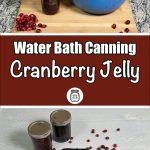 A kitchen scene shows a large pot of cranberry jelly being stirred on a counter next to a mason jar filled with jelly and a pile of cranberries. Below, the text "Water Bath Canning Cranberry Jelly" appears against a brown background with a small jar icon. At the bottom, two mason jars of cranberry jelly and a block of jelly on a plate with a knife are surrounded by scattered cranberries on a light-colored surface.